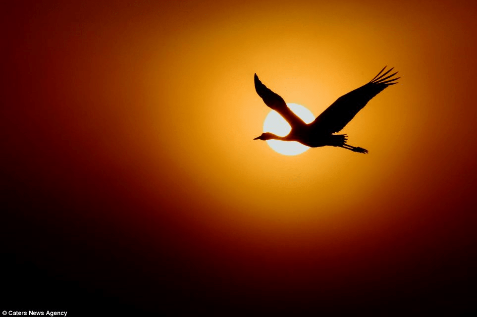 Teaching our eyes to see “faster”