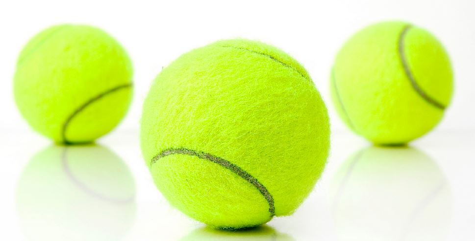 The tennis ball&nbsp;gym