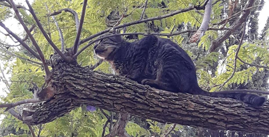 Increase your basic level of&nbsp;awareness