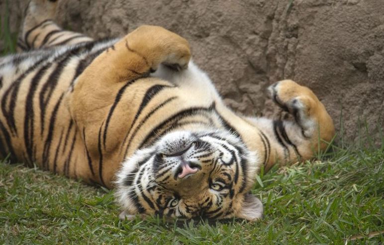 Notes from class: The basic&nbsp;roll